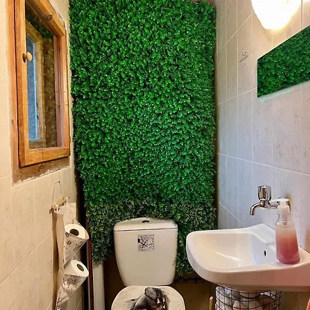 Guest house за гости алба *